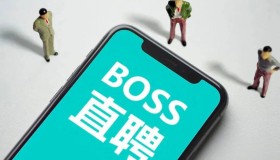 BOSS直聘网账号购买-boos直聘对公账号汇款请求是
